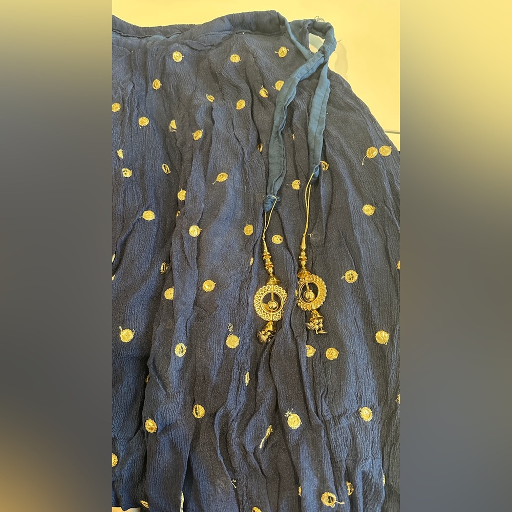 Mirror embellished navy blue lehenga with pink blouse - Picture 8 of 12